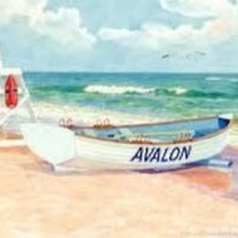 Meet your Posher, Rose